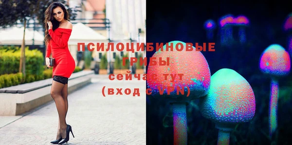 герыч Вяземский
