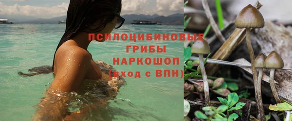 дурь Волосово