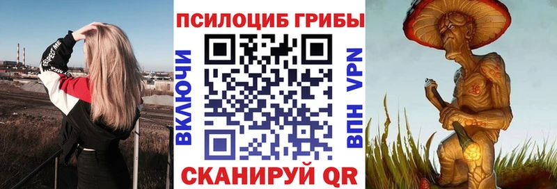 купить наркотик  Изобильный  Псилоцибиновые грибы Magic Shrooms 
